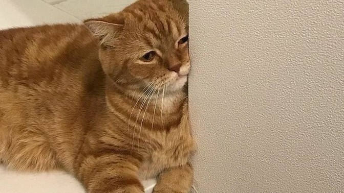 Bugün yeni hayatınızın ilk günü olsa nasıl başlamak isterdiniz ?