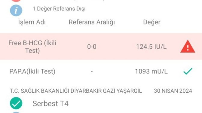 Bu gün 2'li tarama testi oldum?