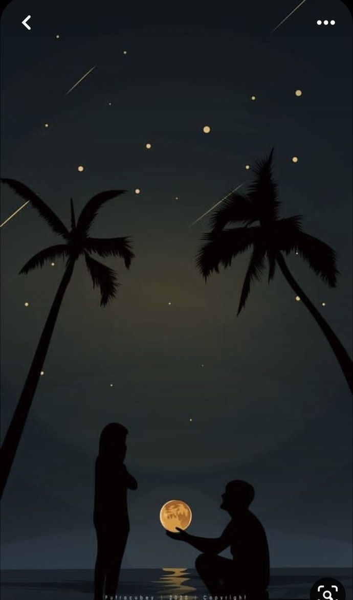 ✨🌙🌟