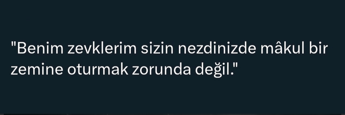 Benim zevklerim sizin nezdinizde mâkul bir zemine oturmak zorunda mı?