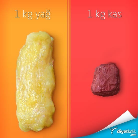 Üst beden inceligimi zayıf gösterir kadını?