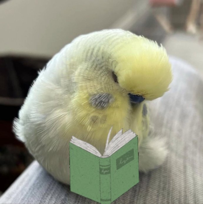Kitap okuyanların evde kalma oranı okumayanlara göre yüzde yüz fazlaymış doğru mu?