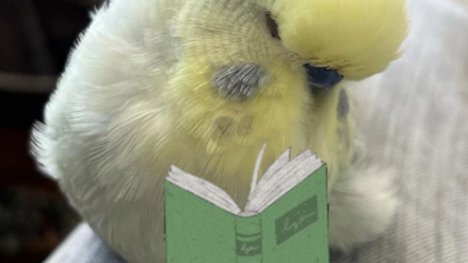 Kitap okuyanların evde kalma oranı okumayanlara göre yüzde yüz fazlaymış doğru mu?