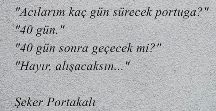 Bir insanın hayatına mucize gibi doğmak ister miydin?