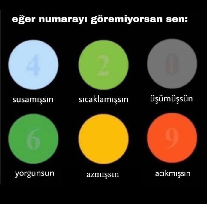 Renk körlüğünüz var mı?