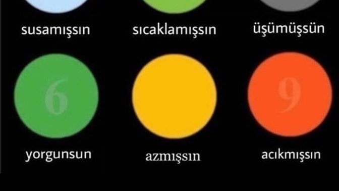 Renk körlüğünüz var mı?