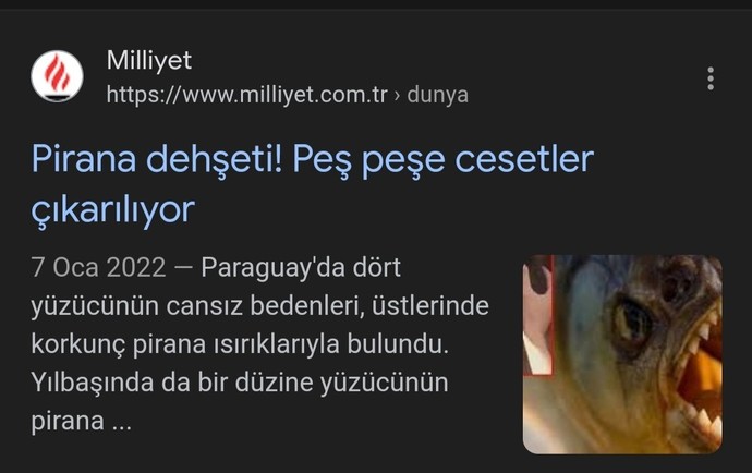 Pirana balığını tanıyor musun?