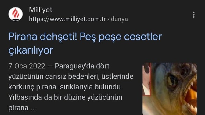 Pirana balığını tanıyor musun?