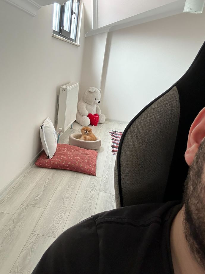 Şu an bir fotoğrafınızı çeksem kameralara nasıl yakalanırdınız 😅?