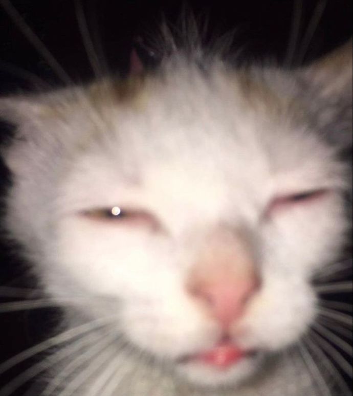Şu an bir fotoğrafınızı çeksem kameralara nasıl yakalanırdınız 😅?
