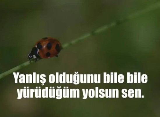 Yanlış olduğunu bildiğiniz halde yaptığınız şeyler oldu mu?