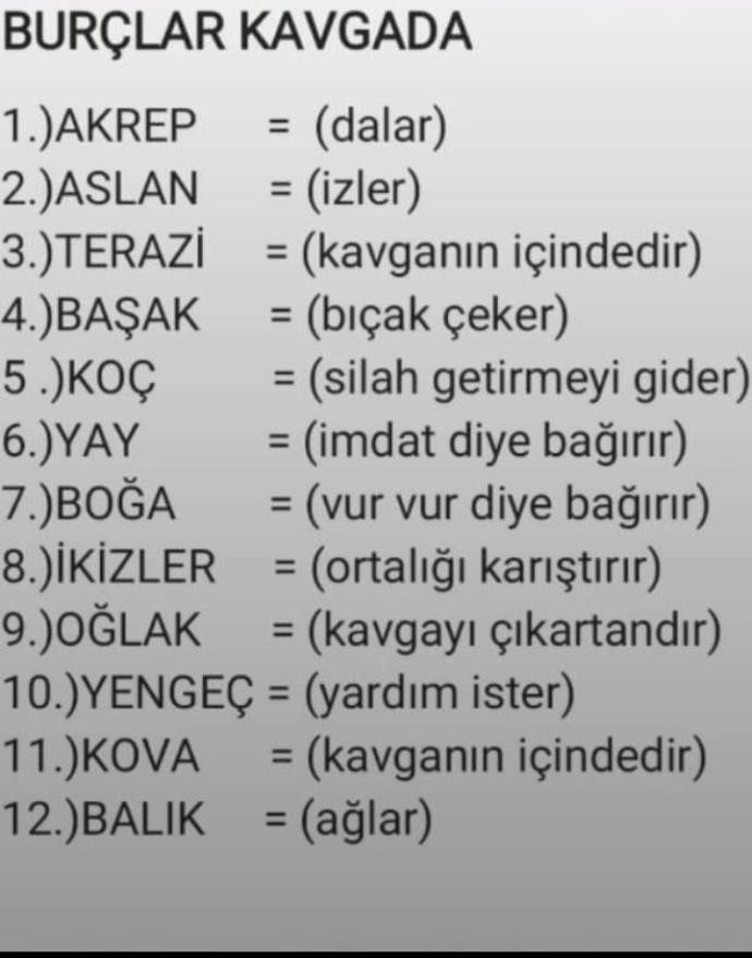 Burçlar kavga ederlerse?