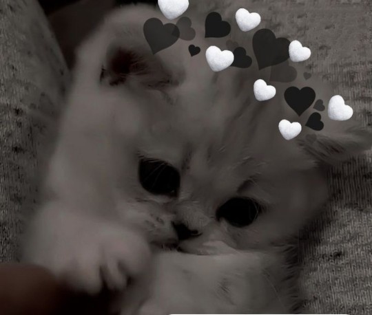 Hakkınızda bir şey tahmin edeyim mi🐣😌🙃?