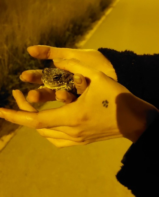 Yağmurlu havayı sever misiniz?