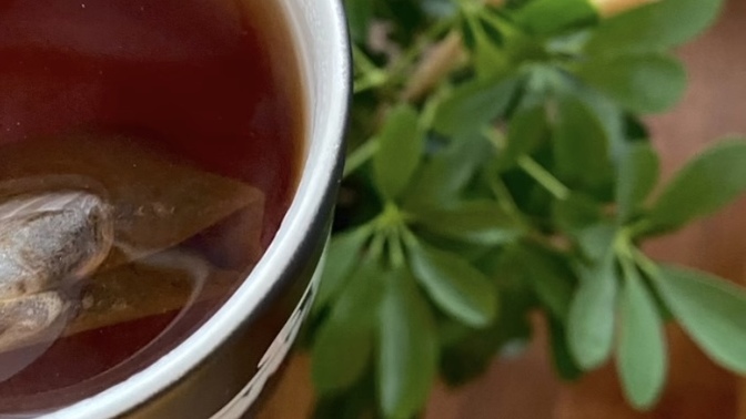 Çay bir kültürdür. Ben çay kadınıyım. Sen seversin, sevmezsin beni ilgilendirmez…?