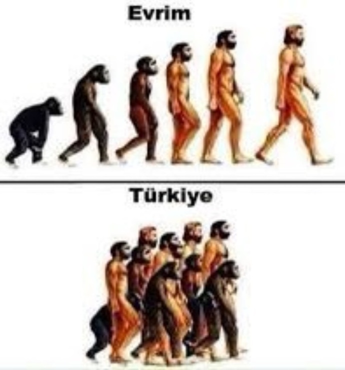 Türkiye'deki insanların zeka seviyesi hakkında ne düşünüyorsunuz?