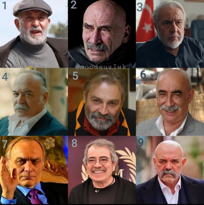 Sizce en güzel rol yapan oyuncu hangisi?