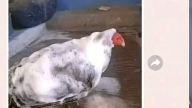 İlginç neye sahit oldunuz?