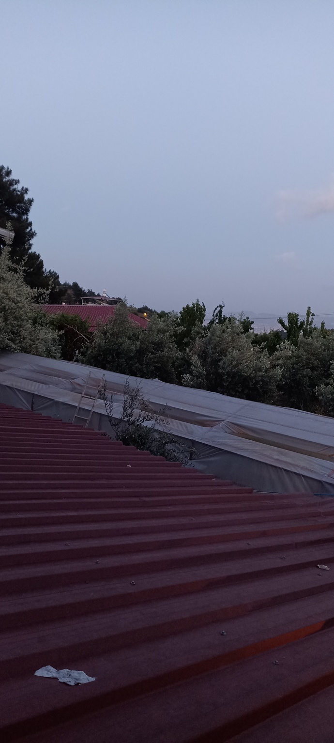 Hayat neden zorsun be ya?