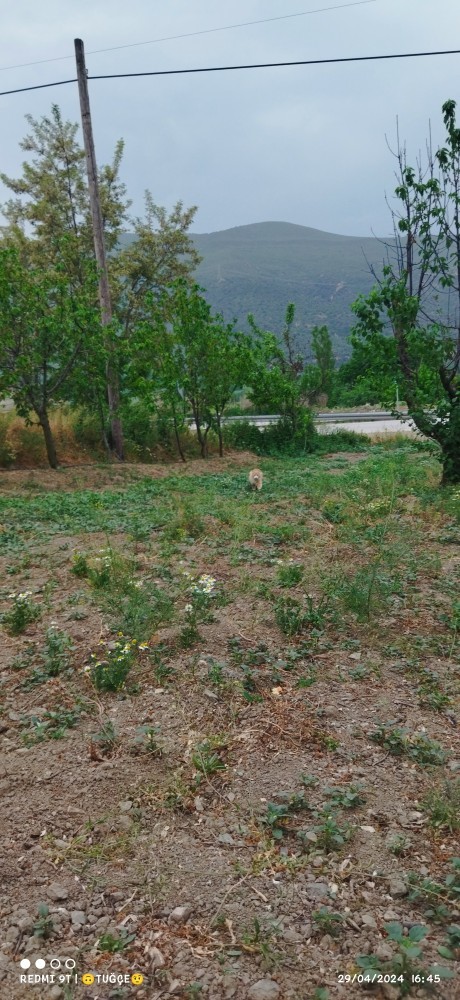 Herkes baktığı manzaradan memnun mu şöyle deniz meniz olaydı, manzaranı atar mısın?