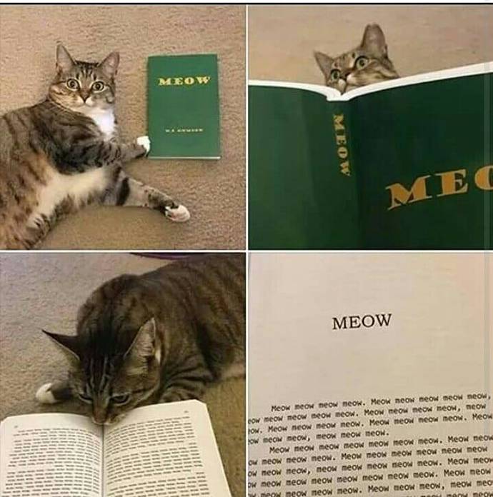 Me-ow