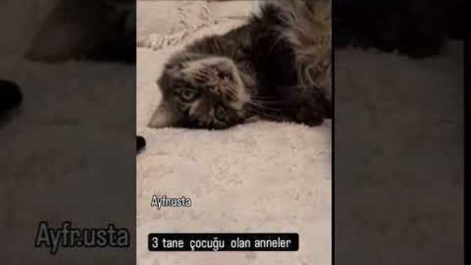 Çocuk sahibi olmak insanı yıpratan bir durum mu?