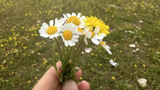 Kendi ellerinle topladığın çiçek kadar kıymetli olabilir mi sipariş ettiğin çiçek?