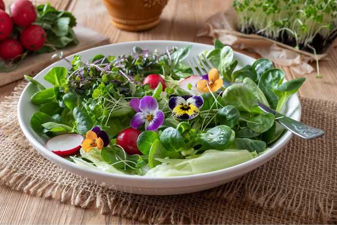 En lezzetli salata hangisi sana göre?