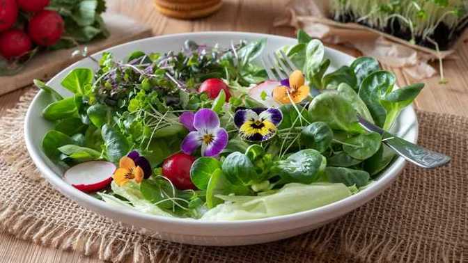 En lezzetli salata hangisi sana göre?