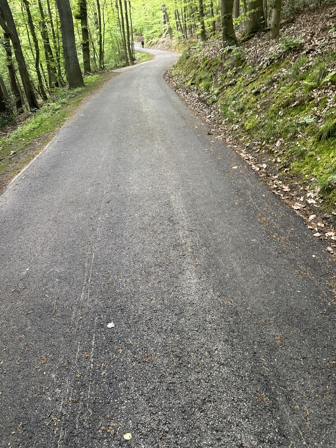 Böyle yol mu olur sjsn
