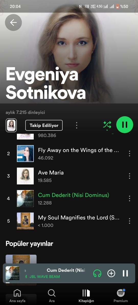 Şu an hangi şarkı senin moduna uygun olurdu?