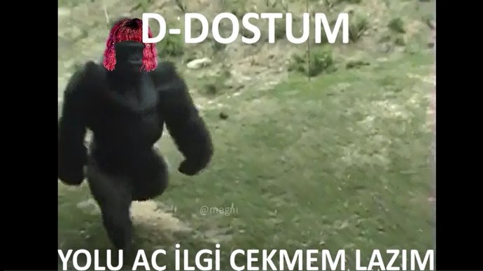 Ya fakesin ya da ilgi arsızı.