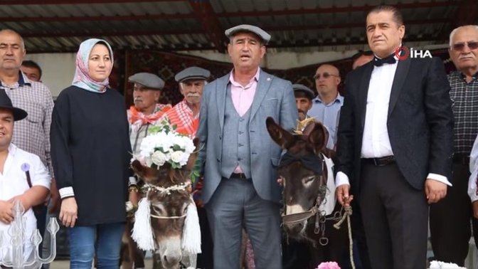 Antalya'da 2 eşeğe düğün yapıldı. Hayvanların düğününe katılmak ister miydin?