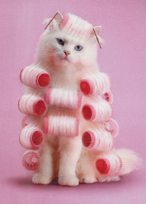 😄🌸🎀