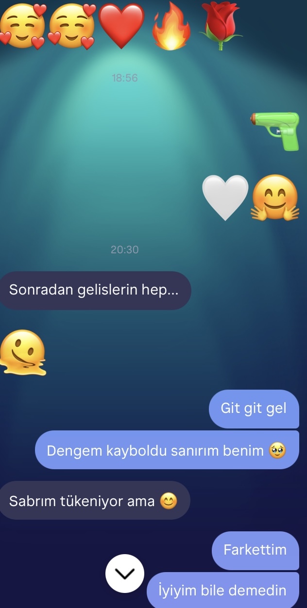 Bu yazışmadan ne anlıyorsunuz?