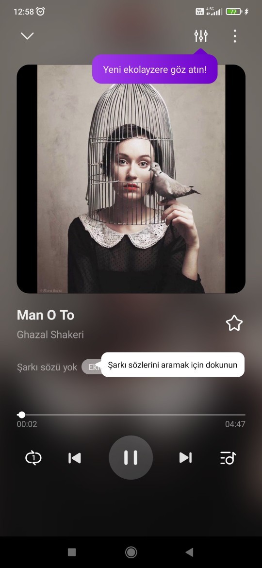 Gizli dinlediğiniz şarkıcılar var mı 🤣?
