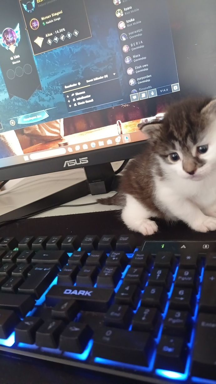 YYiyebilirrmiyimmm?