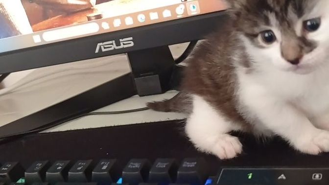 YYiyebilirrmiyimmm?