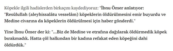 İslamda neden köpeklerin öldürülmesi emrediliyor?