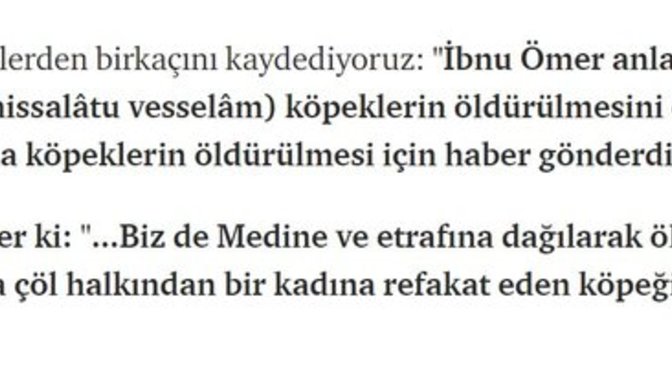 İslamda neden köpeklerin öldürülmesi emrediliyor?