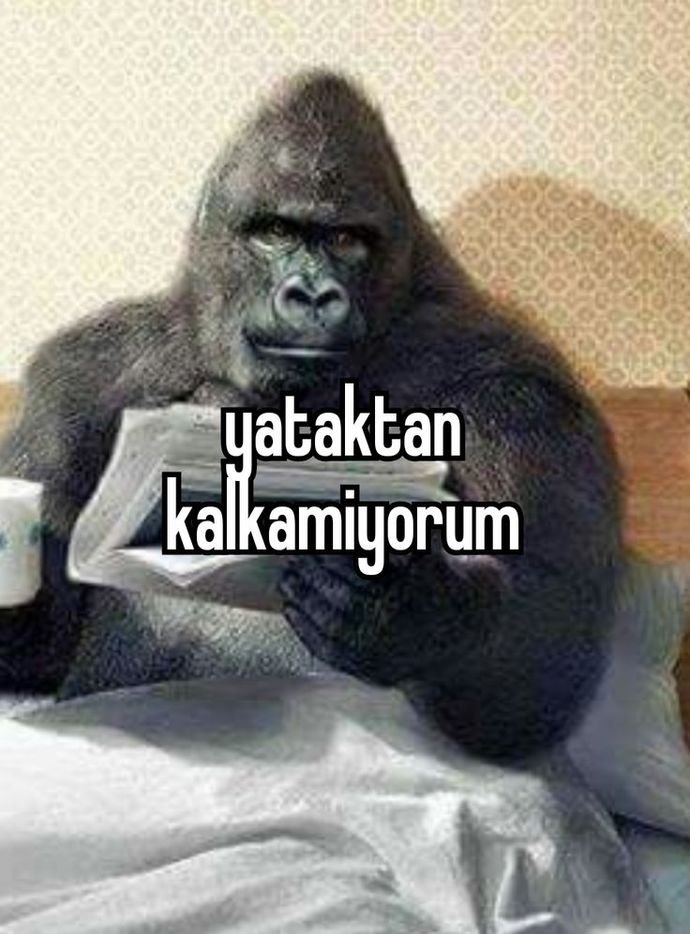Depresyon iflahımı kuruttu ve atomlarımı da etkili durumdan. 30 35 yaşıma geldiğimde pamuk beyazlığında saçlarım olabilir. 