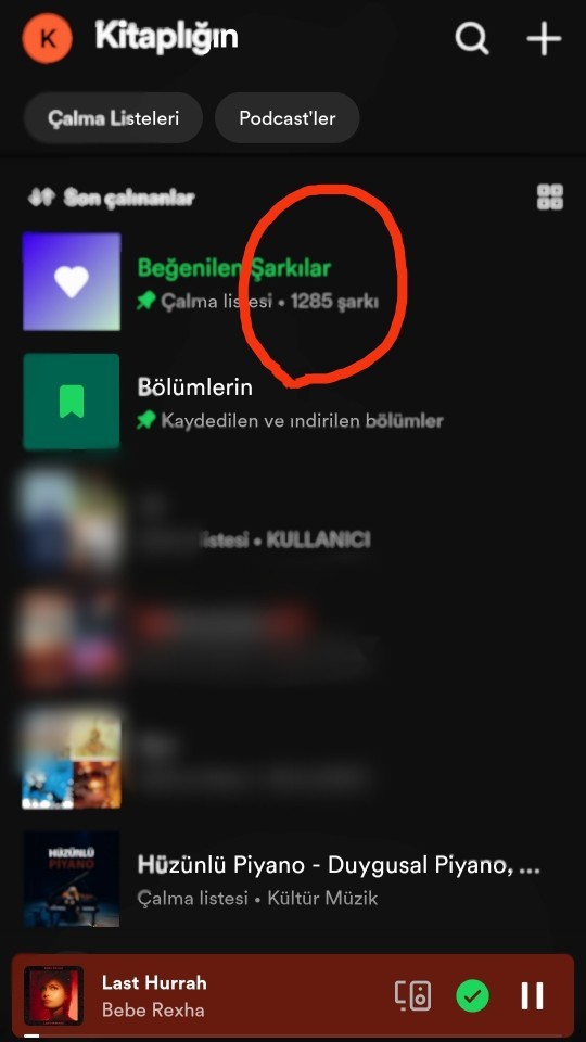 Spotify kullanıyor musunuz, ne kadar müzik kaydetttiniz benimki sanırım çok?