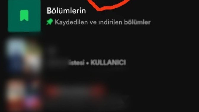 Spotify kullanıyor musunuz, ne kadar müzik kaydetttiniz benimki sanırım çok?