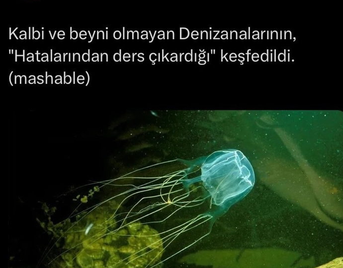 Görselini en iyi ifade eden kısa notunu buraya