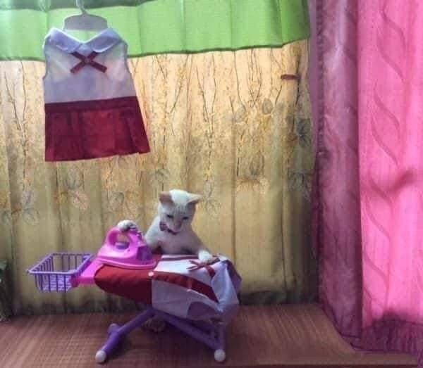 Kadın olmanın en zor yanı nedir🎀?