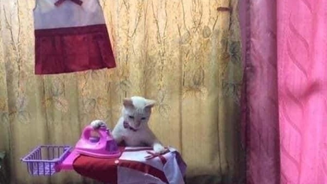 Kadın olmanın en zor yanı nedir🎀?