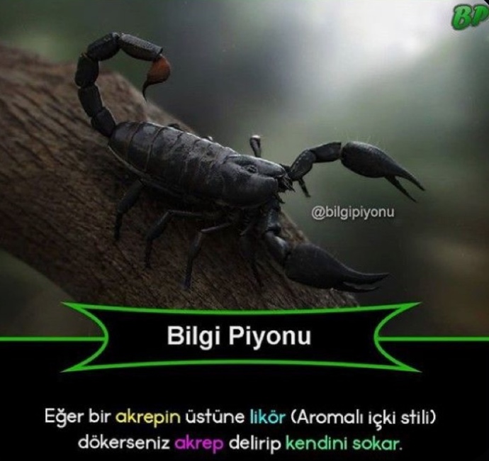 Sizi ne öldürür?