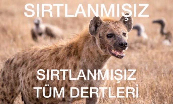 Dertlerle aranız nasıl?