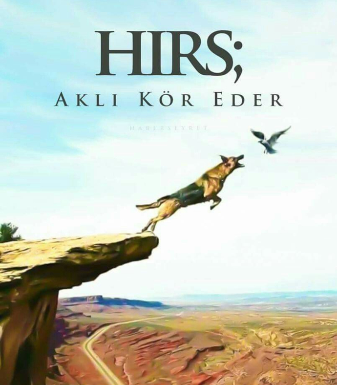 Karakter eğitiminde bunların Yeri nedir