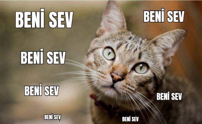 Tiryakisi olduğunuz ne var?